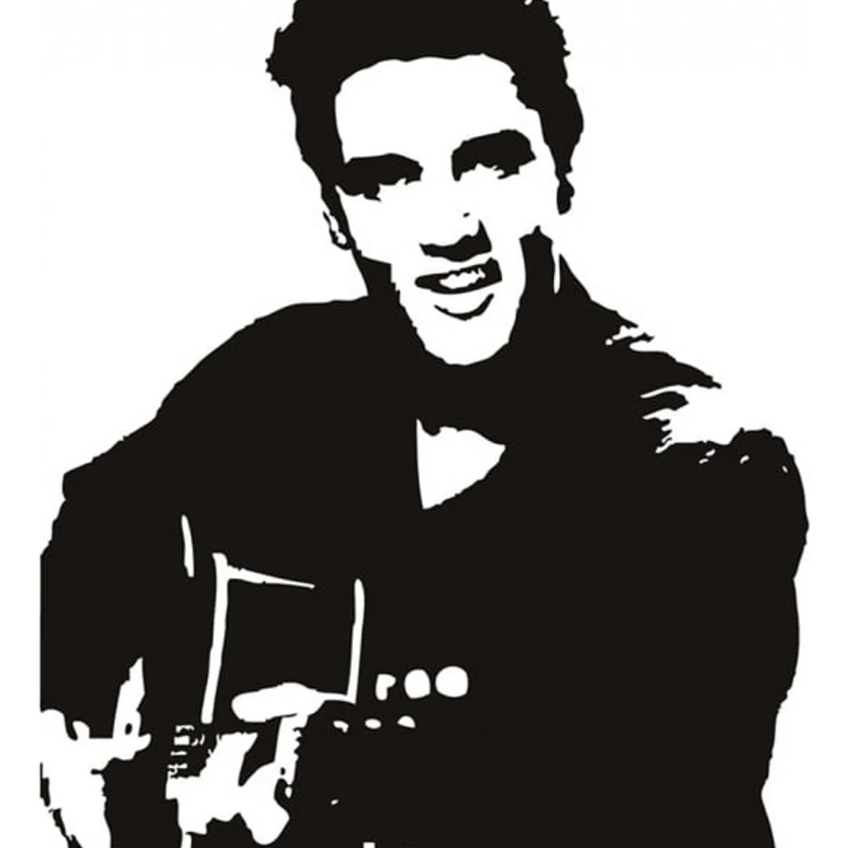 GENERICO - Decomural Elvis Presley Rock N Roll Music WS-17675