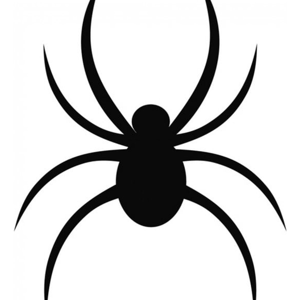 GENERICO - Decomural Spider Halloween WS-17798