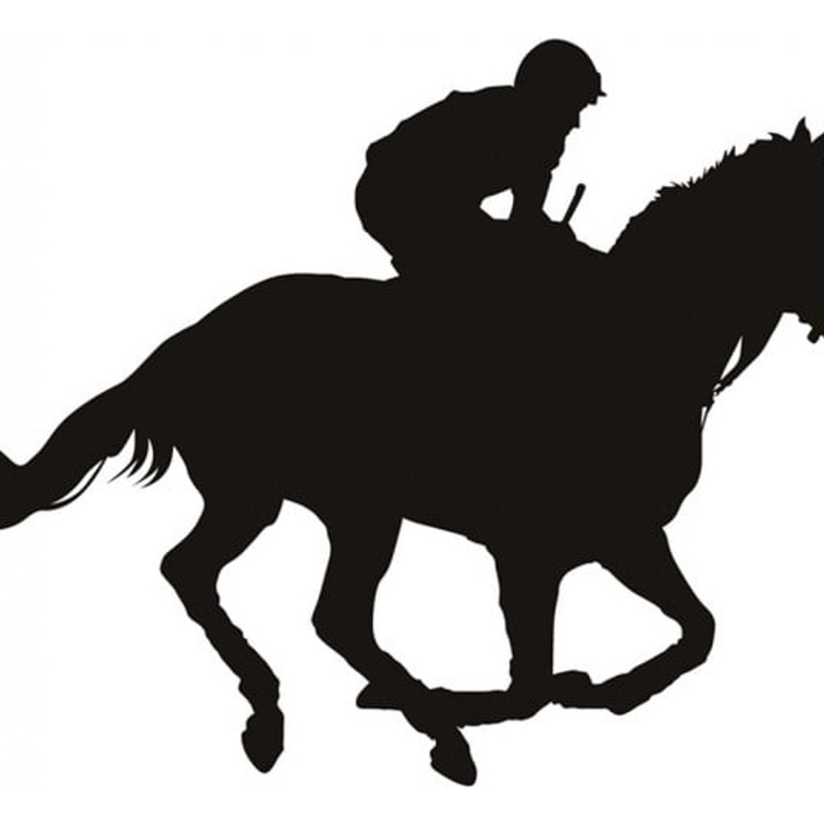 GENERICO - Decomural Race Horse Jockey WS-19233