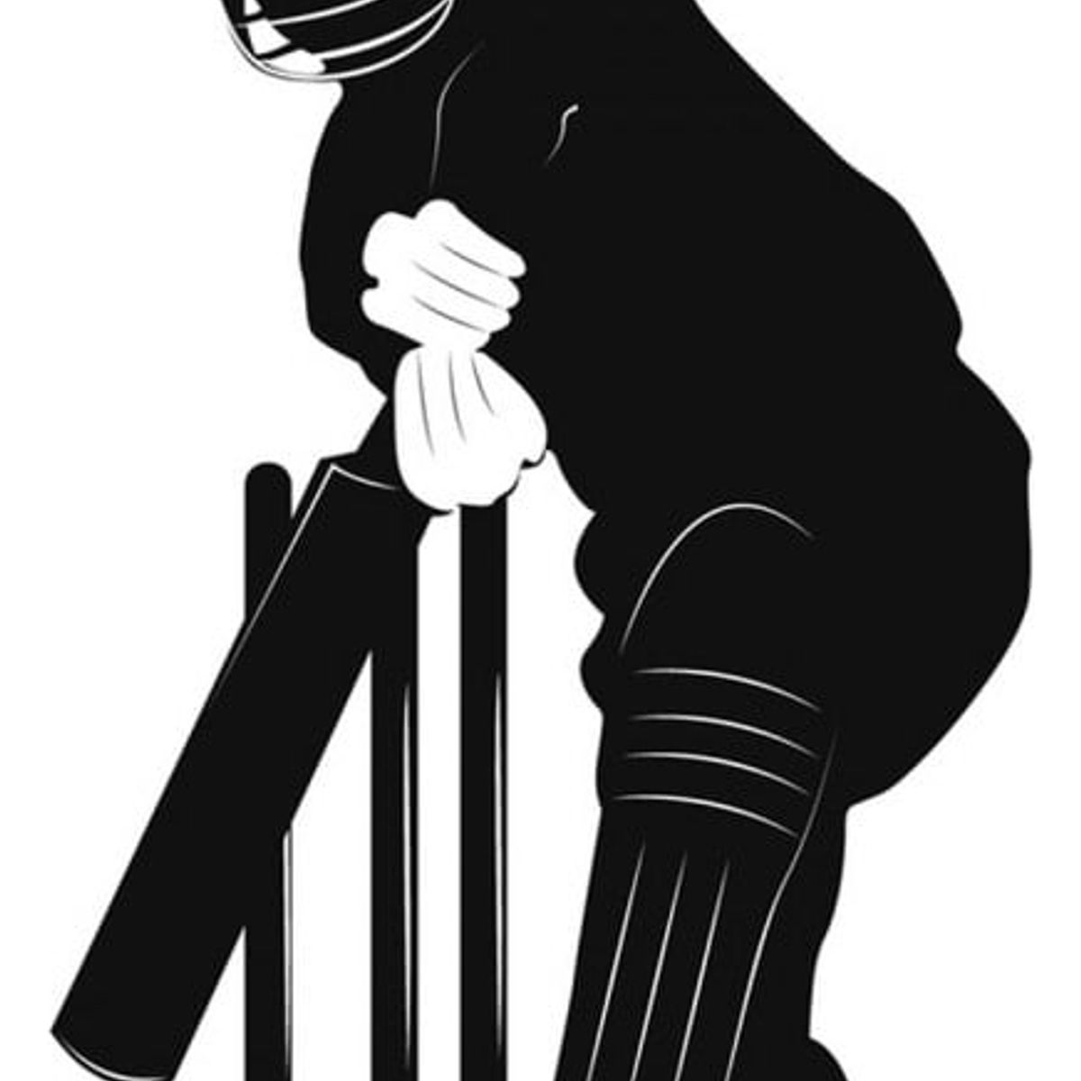 GENERICO - Decomural Playing Cricket Sports WS-19295