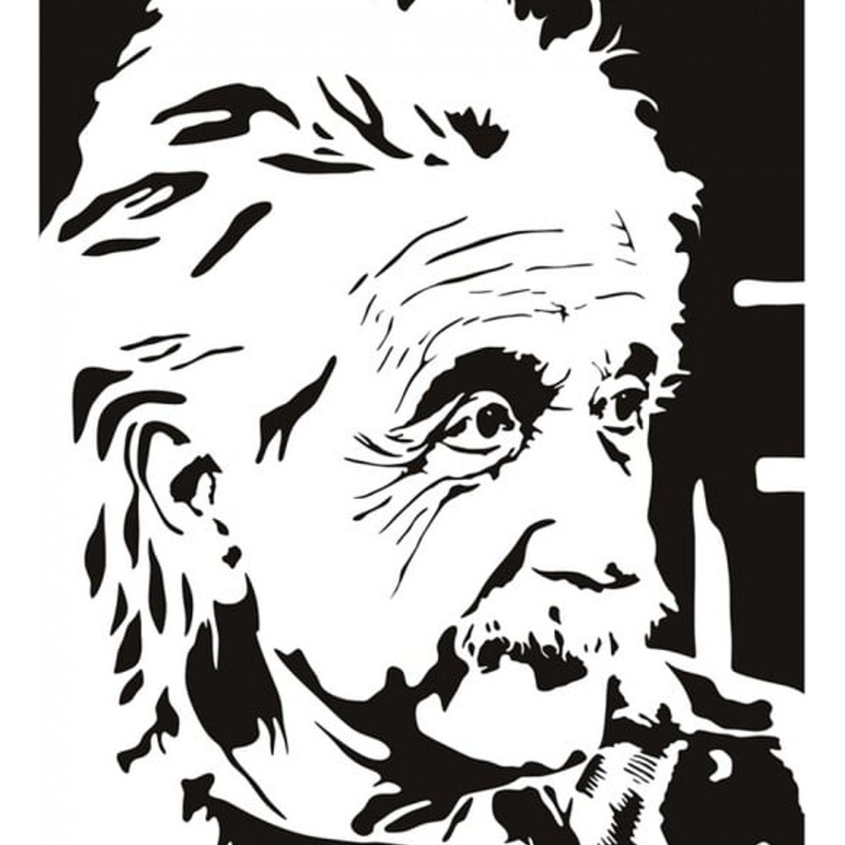 GENERICO - Decomural Albert Einstein Scientist WS-17990