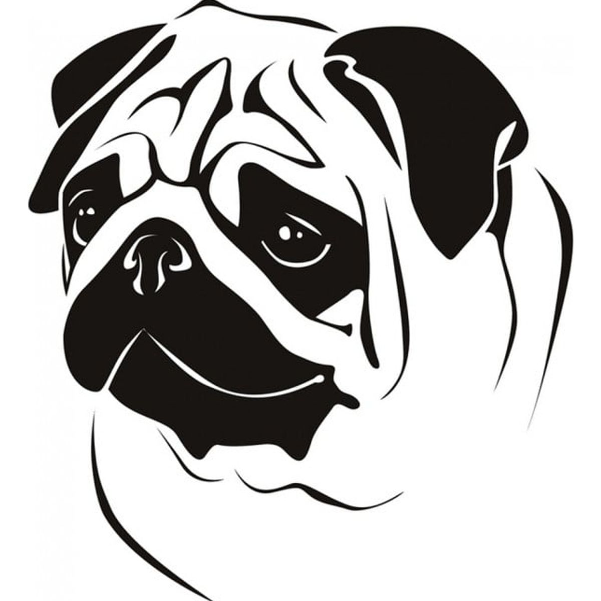 GENERICO - Decomural Pug Portrait Pets Dogs WS-19349