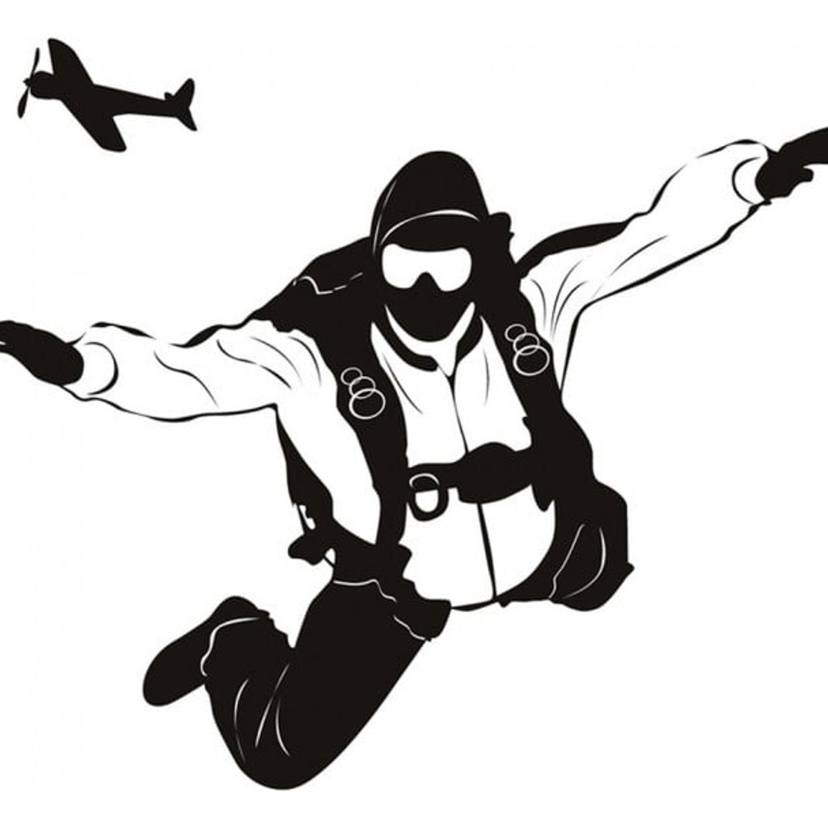 GENERICO - Decomural Skydiving Plane WS-19377