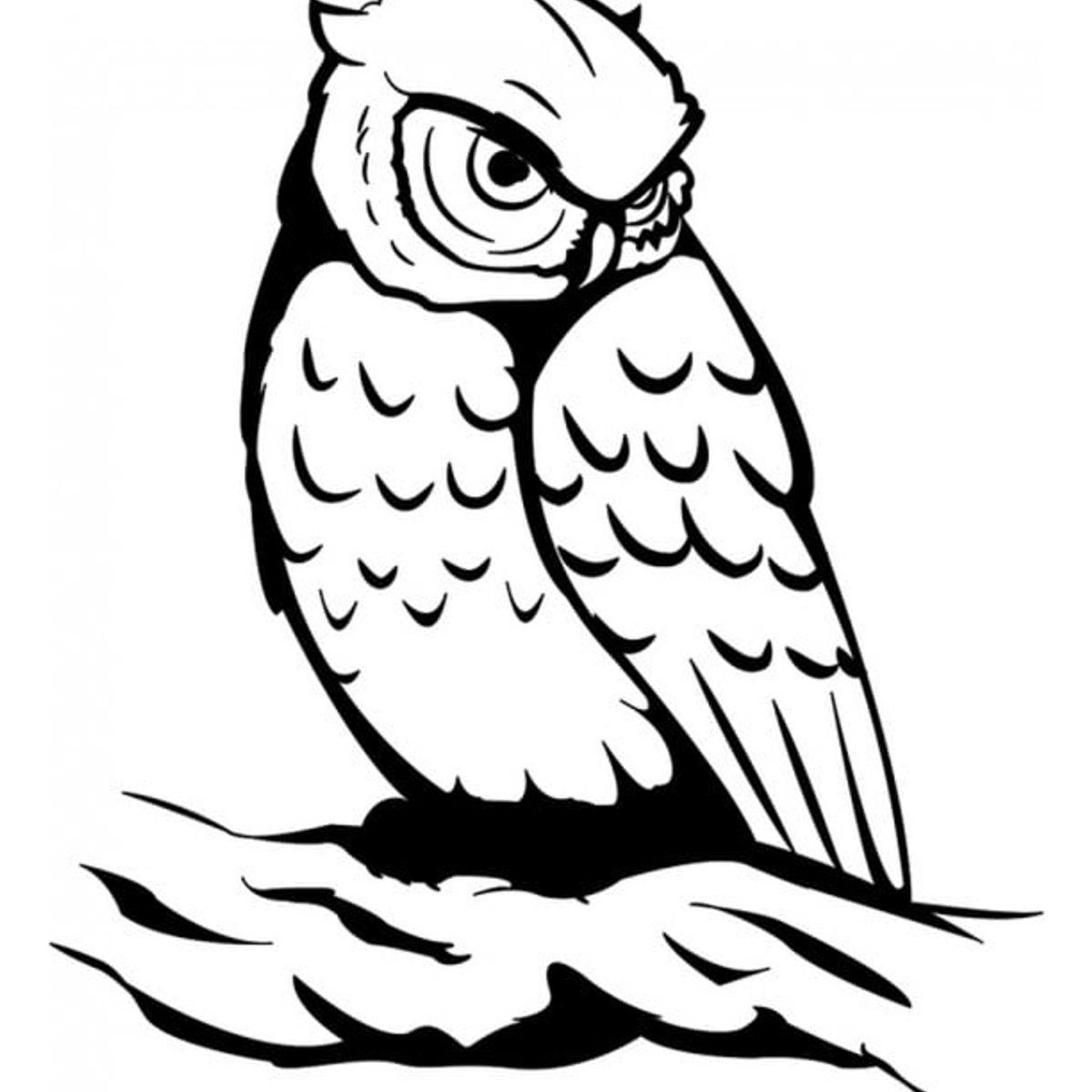 GENERICO - Decomural Owl Bird WS-19514
