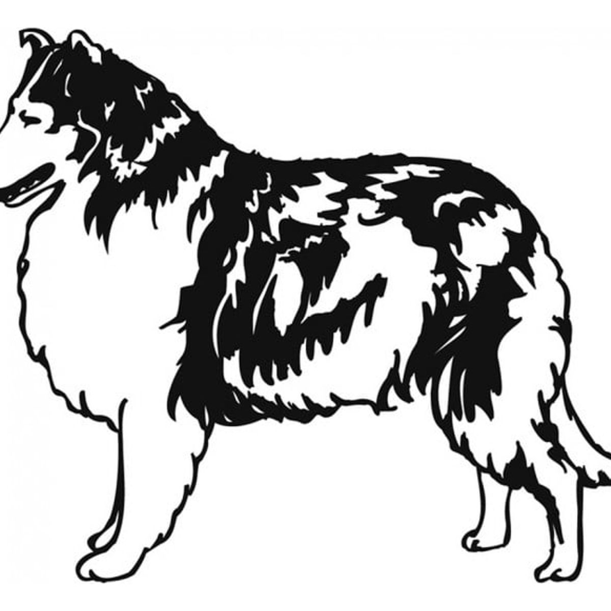 GENERICO - Decomural Collie Sheepdog Pets & Animals WS-19548