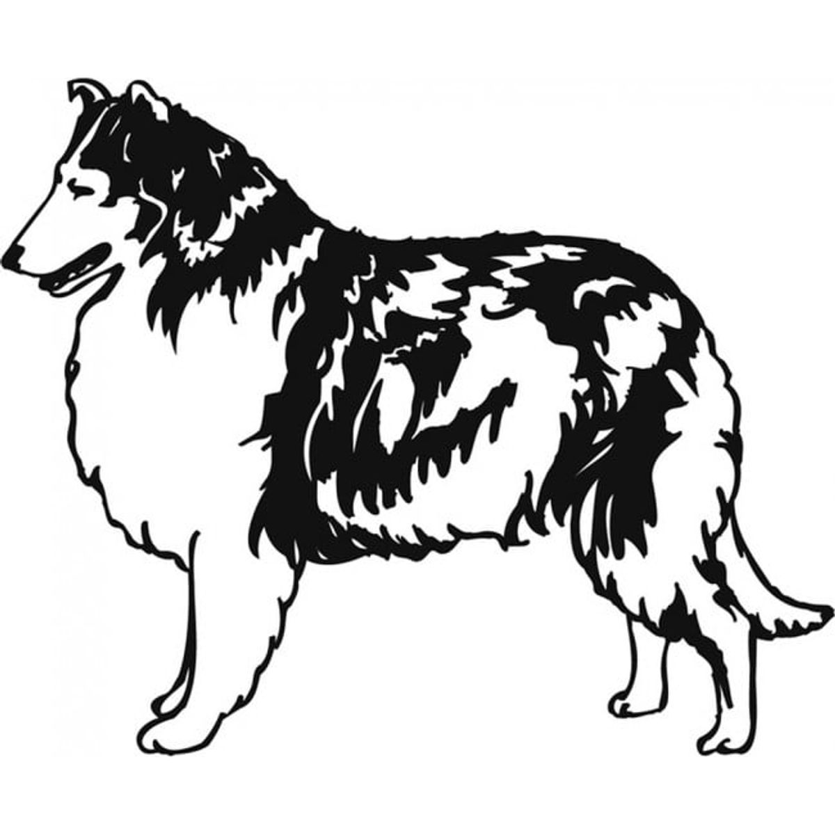 GENERICO - Decomural Collie Sheepdog Pets & Animals WS-19548