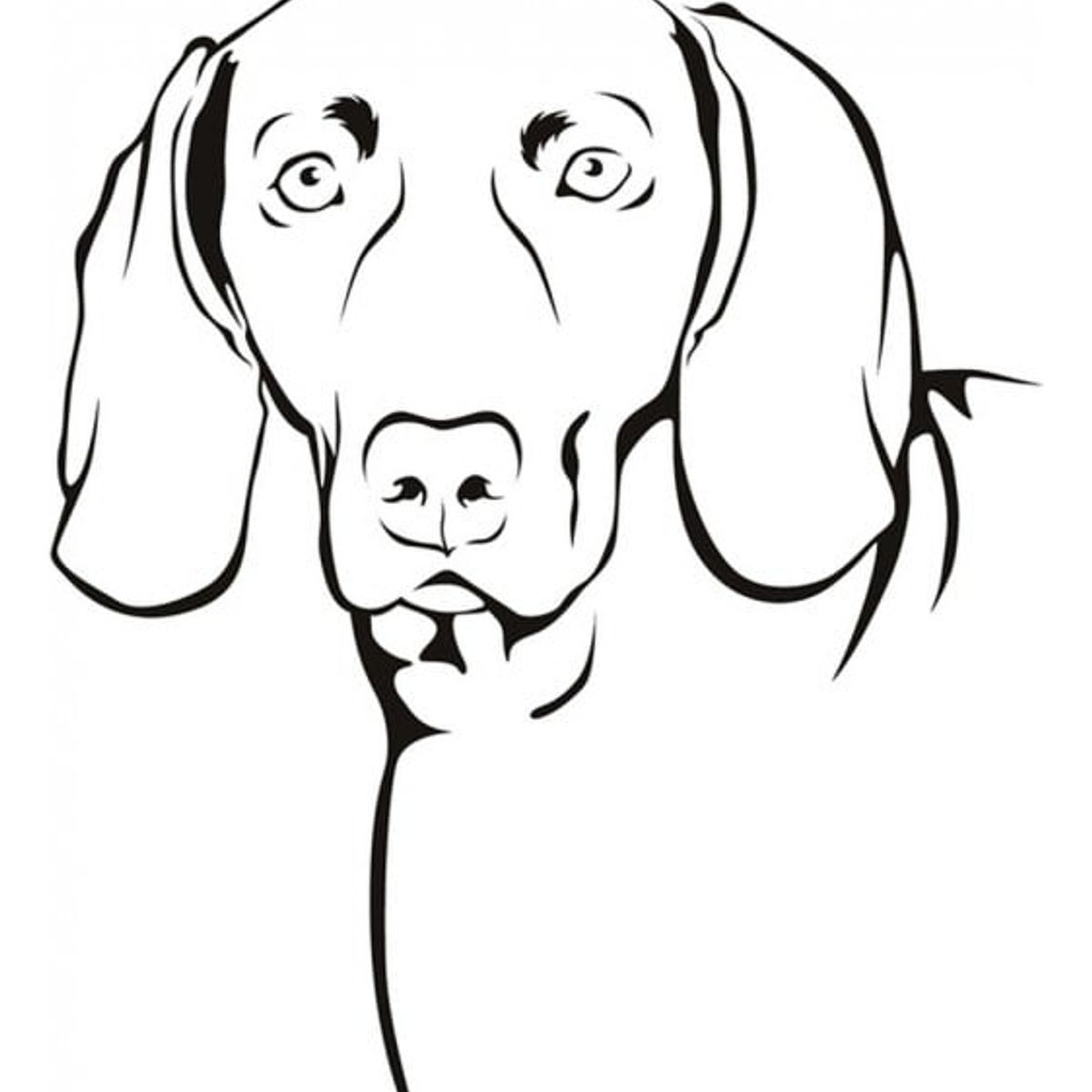 GENERICO - Decomural Weimaraner Pets Dogs WS-19614