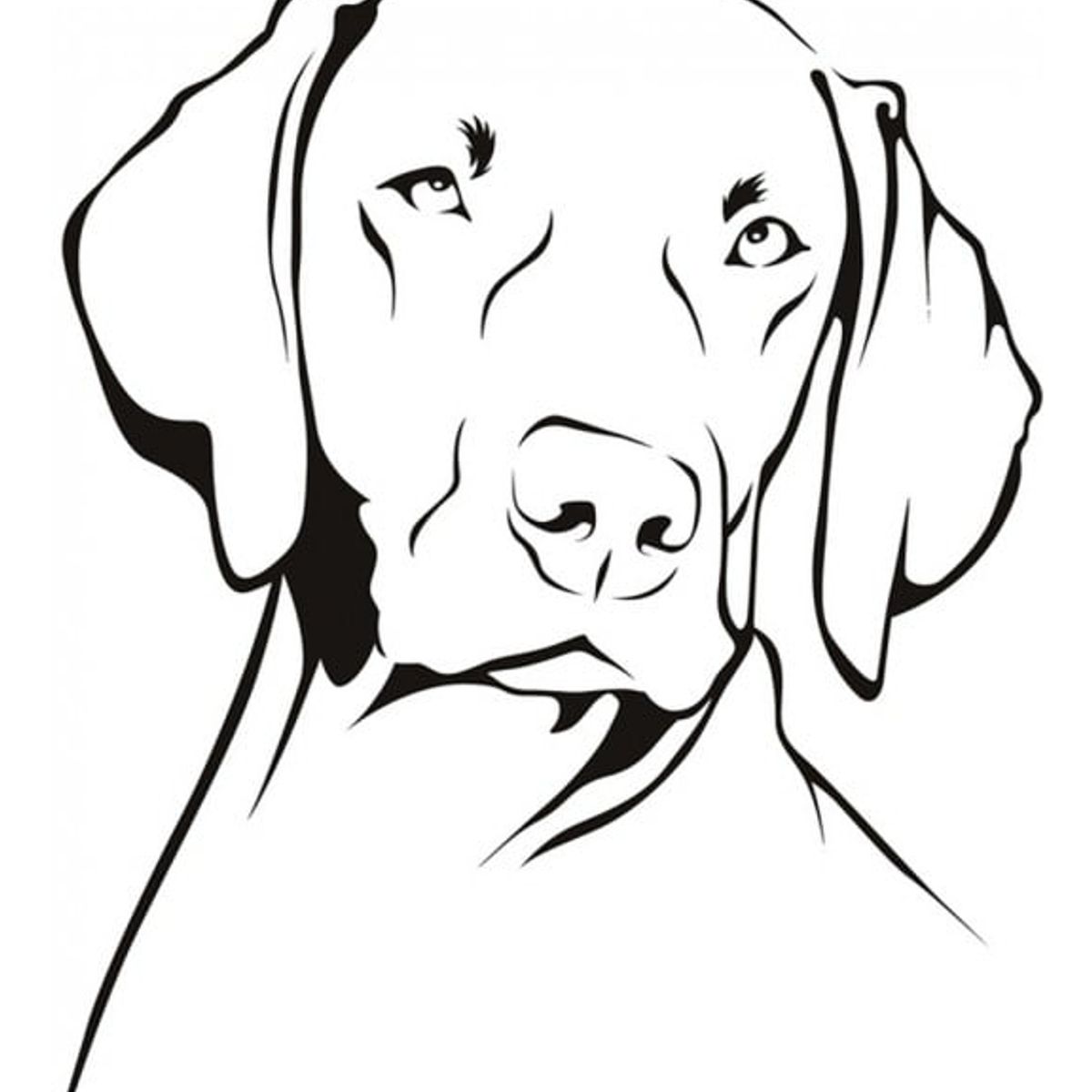 GENERICO - Decomural Weimaraner Dog Animals Pets WS-19615