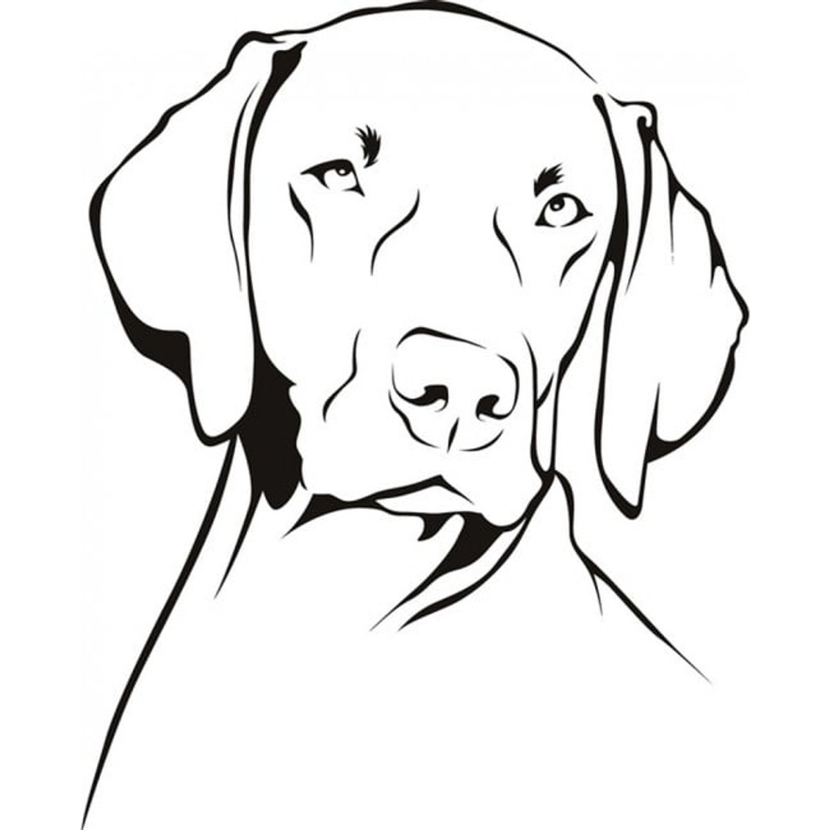 GENERICO - Decomural Weimaraner Dog Animals Pets WS-19615