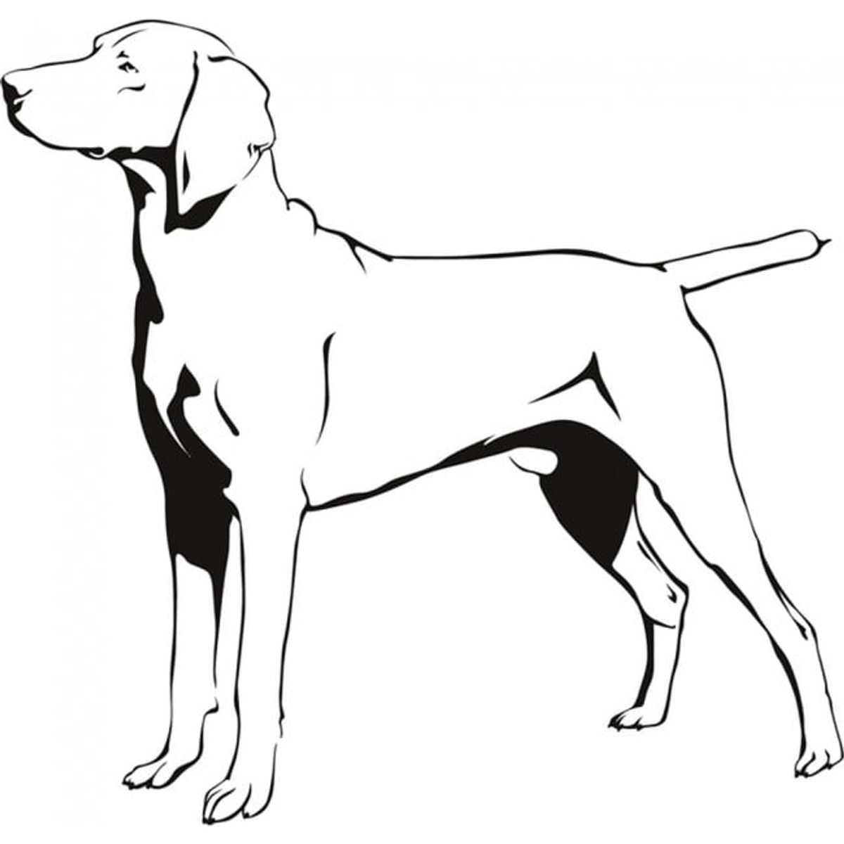 GENERICO - Decomural Weimaraner Dog Pet Animals WS-19616