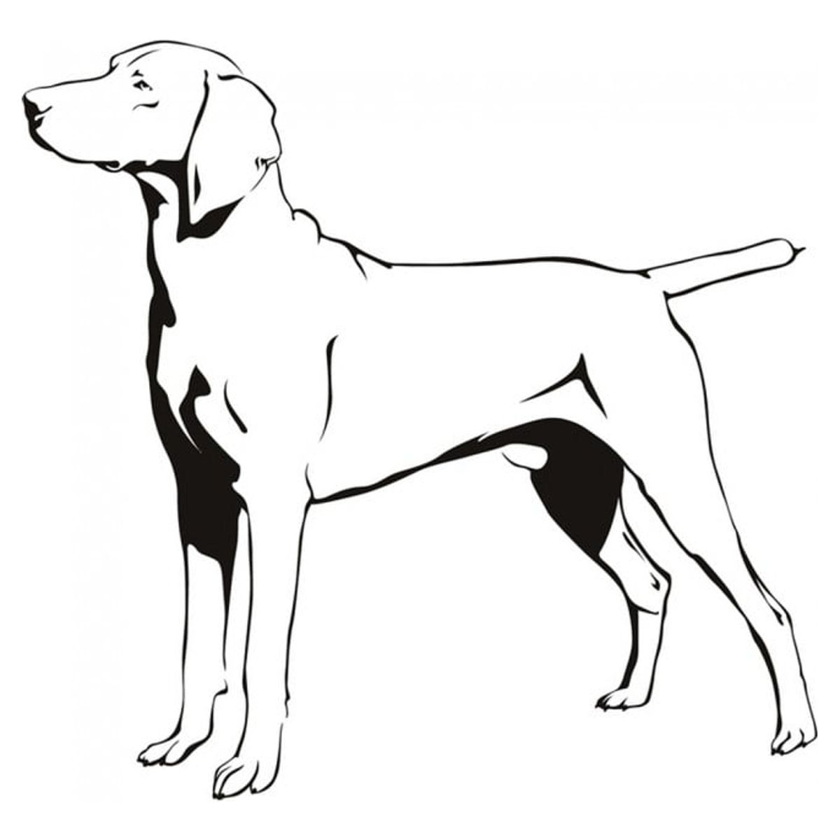 GENERICO - Decomural Weimaraner Dog Pet Animals WS-19616