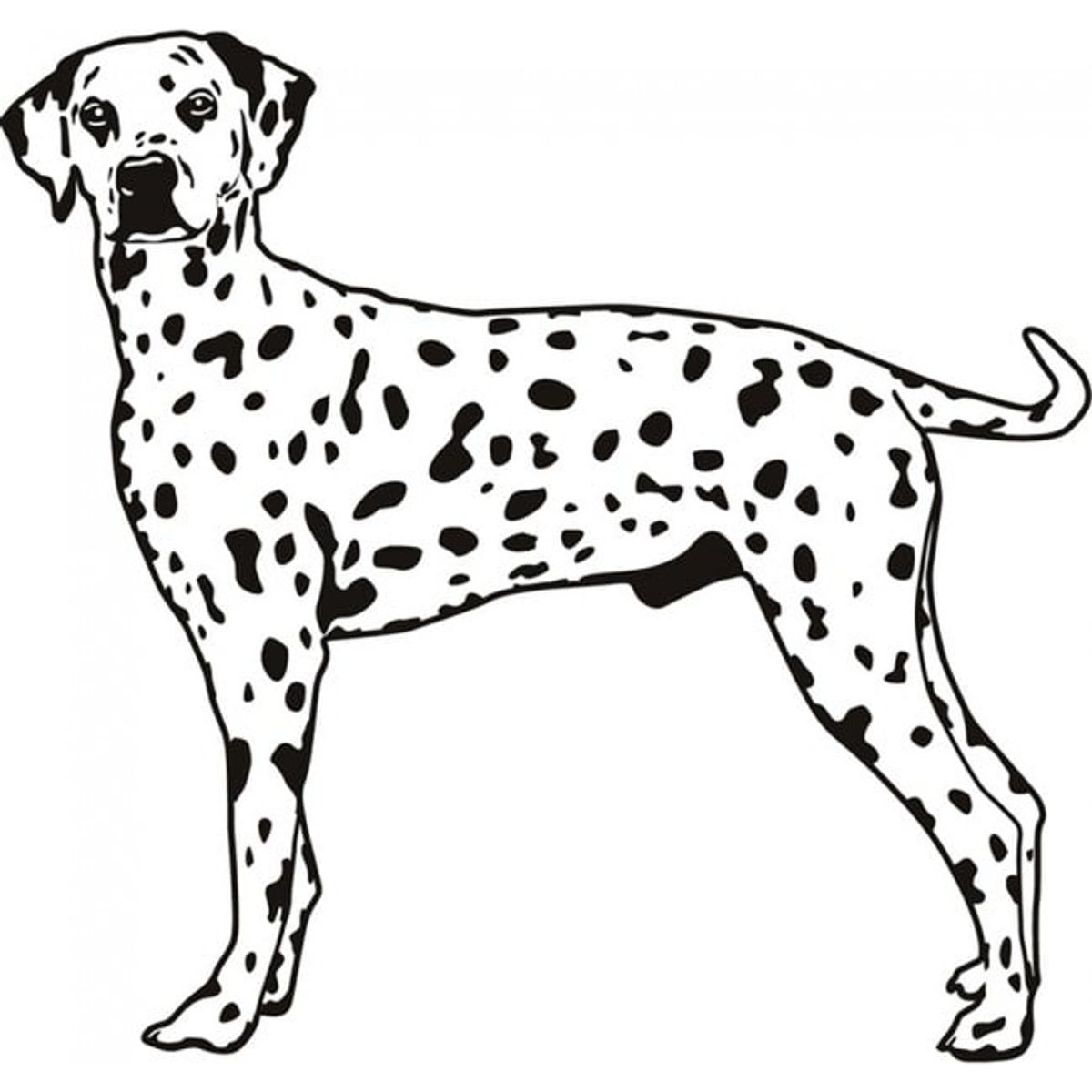 GENERICO - Decomural Dalmatian Dog WS-18322