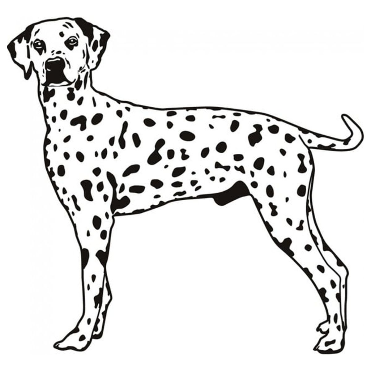 GENERICO - Decomural Dalmatian Dog WS-18322