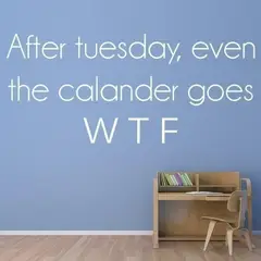 GENERICO - Decomural Calendar Goes Wtf Funny WS-43070