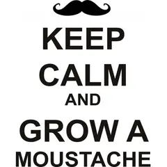 GENERICO - Decomural Keep Calm Grow A Moustache WS-19695