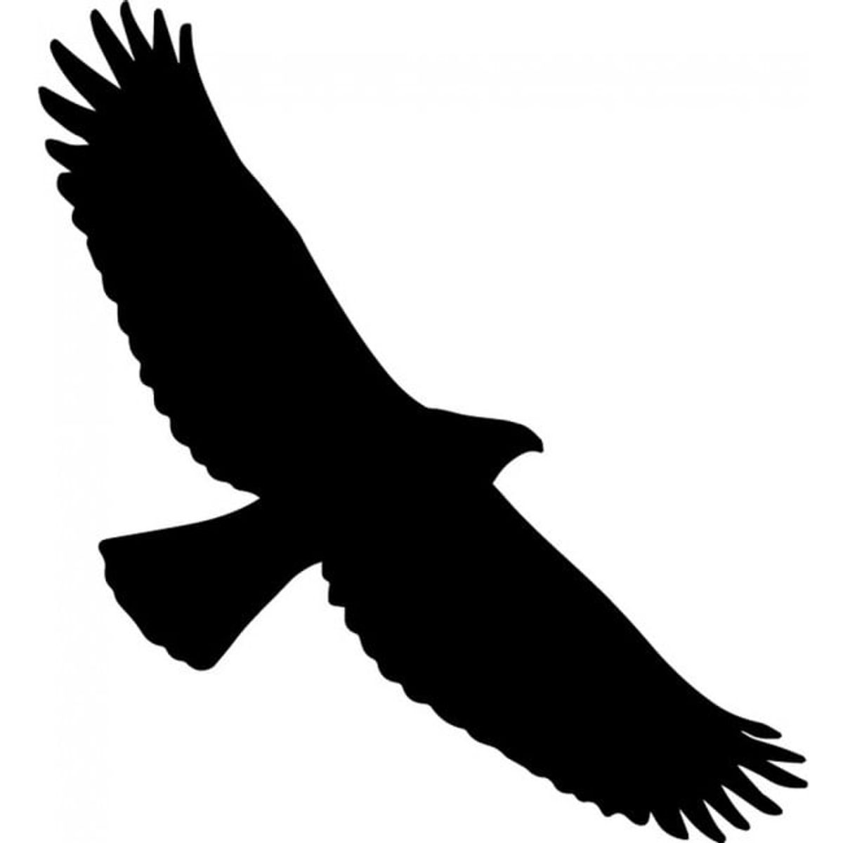 GENERICO - Decomural Flying Hawk Bird WS-33491