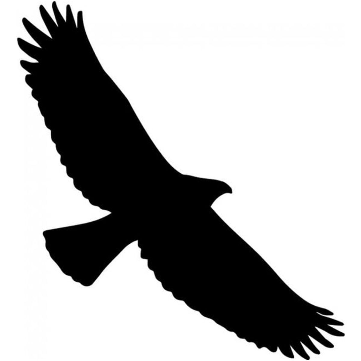 GENERICO - Decomural Flying Hawk Bird WS-33491