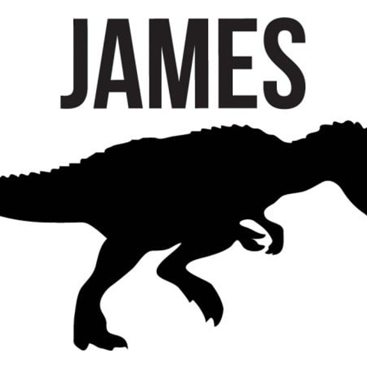 GENERICO - Decomural Personalised Name Dinosaur T-rex WS-43142