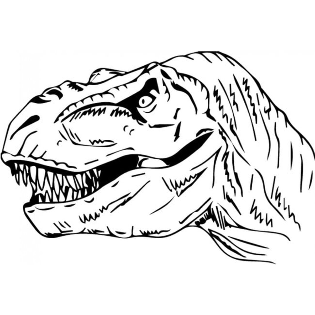 GENERICO - Decomural T-rex Head Jurassic Dinosaur WS-33626