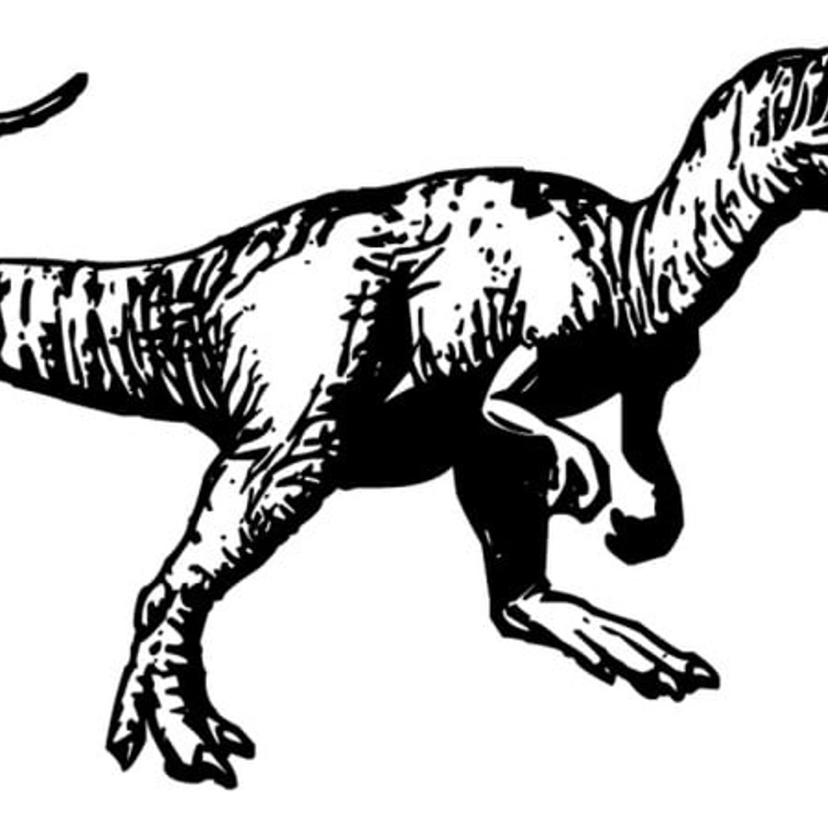 GENERICO - Decomural Tyrannosaurus Rex T-rex Dinosaur WS-33618