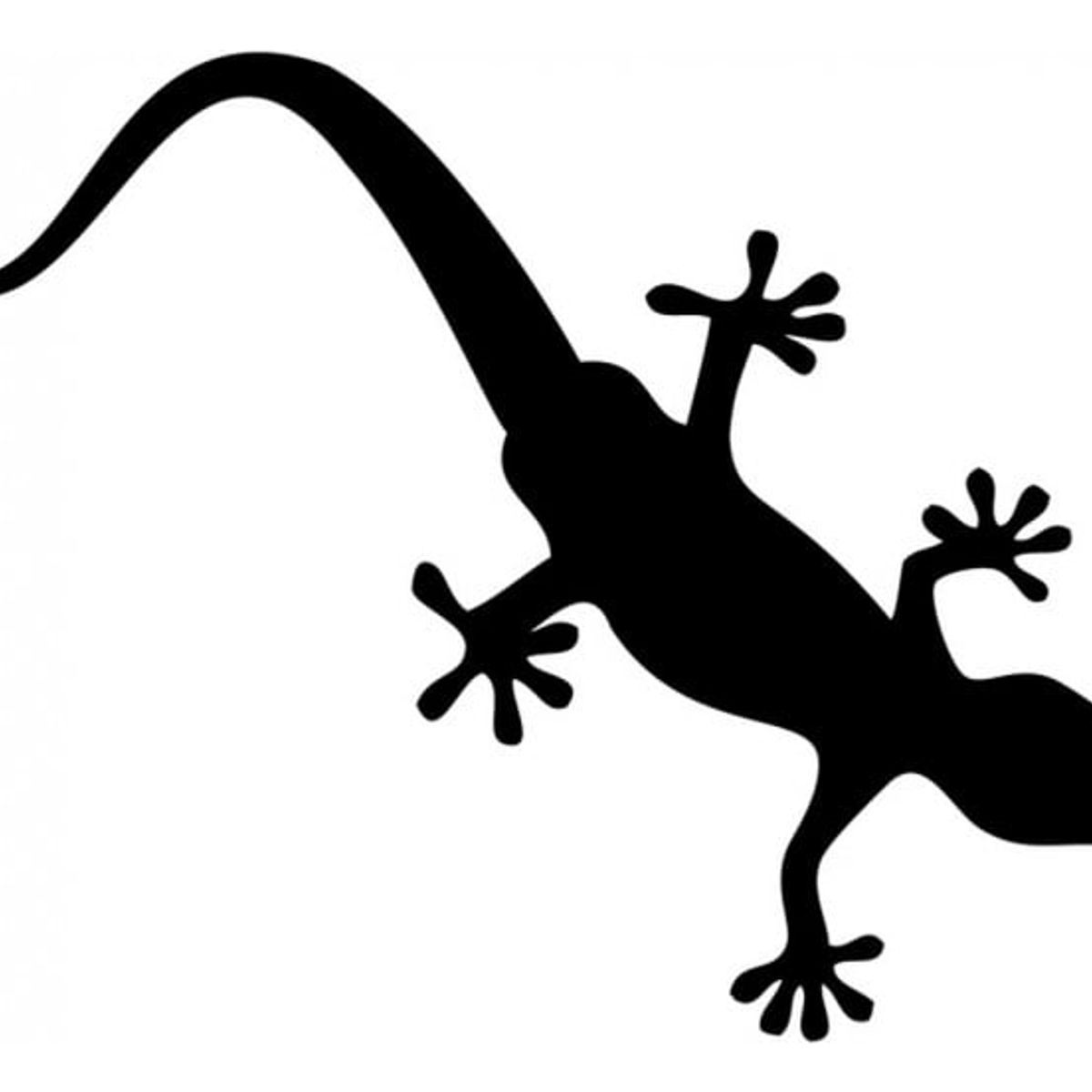 GENERICO - Decomural Gecko Lizard Reptile Animals WS-18496