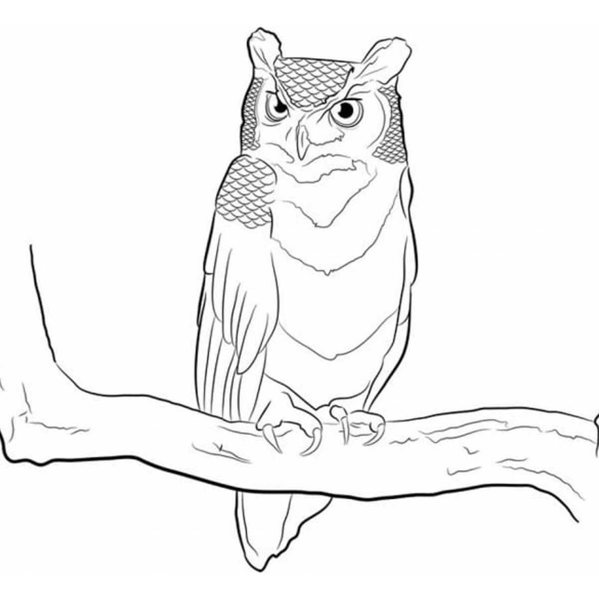 GENERICO - Decomural Wise Owl Woodland Animals WS-32448