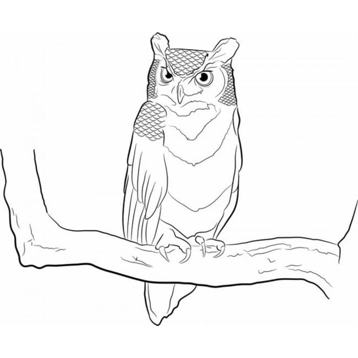 GENERICO - Decomural Wise Owl Woodland Animals WS-32448