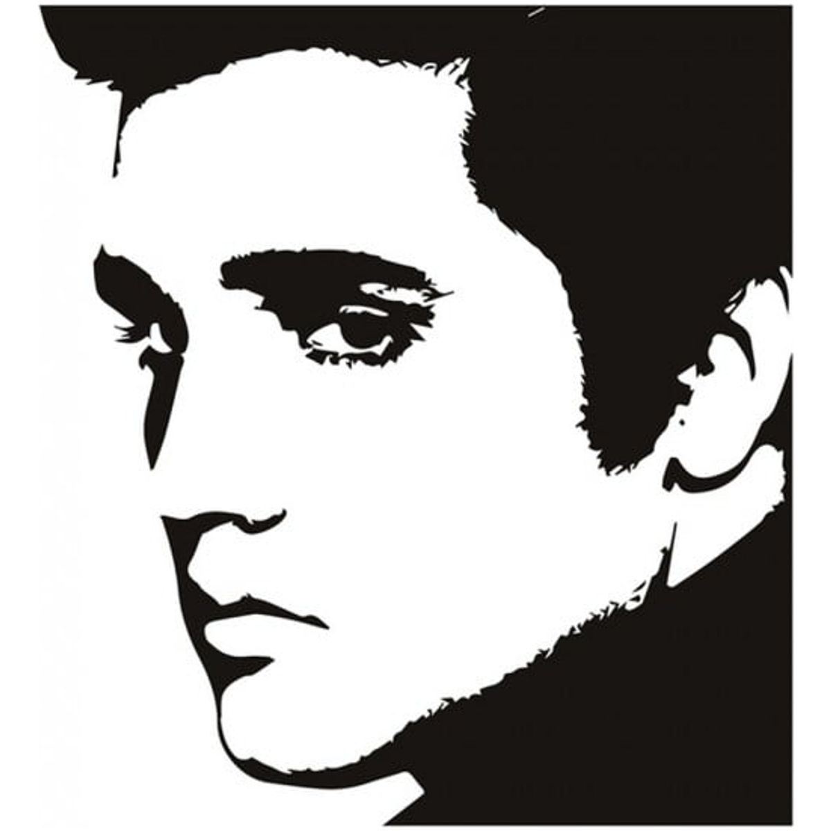 GENERICO - Decomural Elvis Presley Rock N Roll King WS-32465