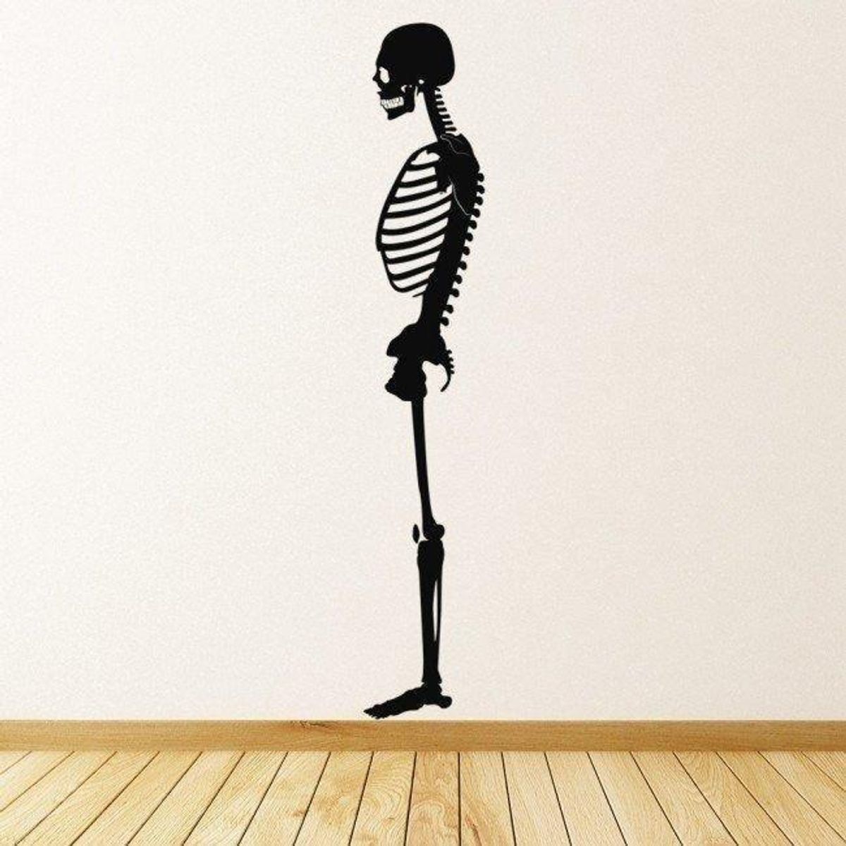 GENERICO - Decomural Skeleton Science School WS-18640