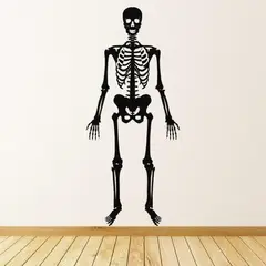 GENERICO - Decomural Skeleton Halloween WS-18641