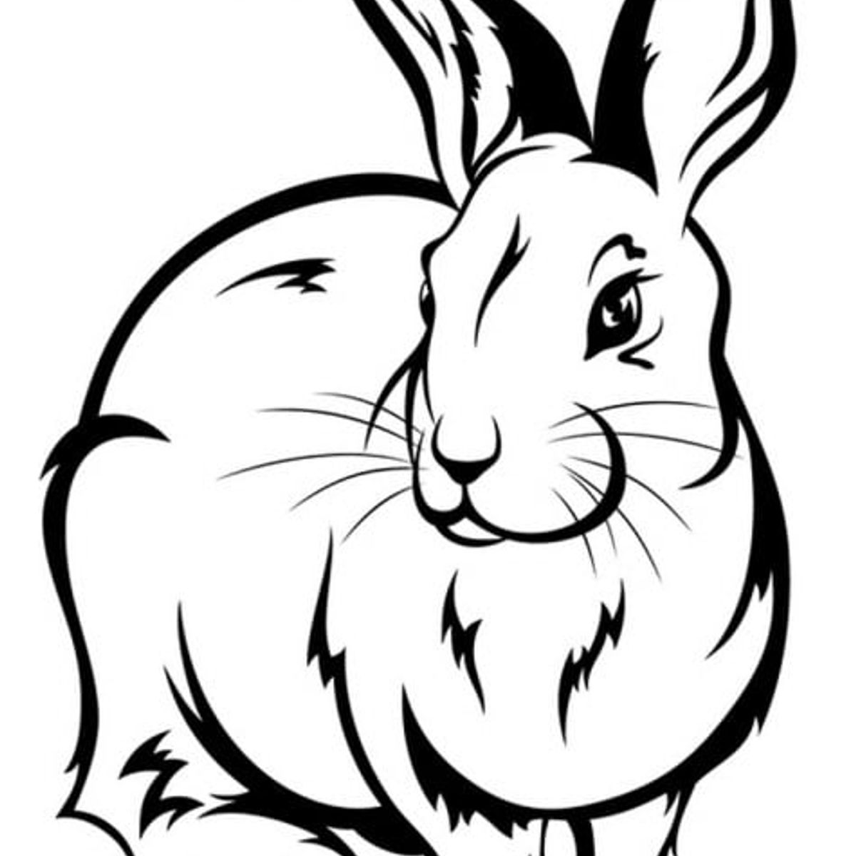 GENERICO - Decomural Bunny Rabbit Childrens WS-18643