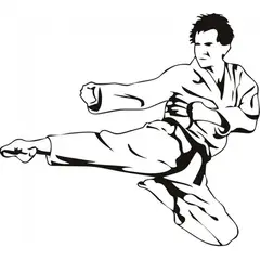 GENERICO - Decomural Martial Arts Karate WS-18638