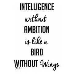 GENERICO - Decomural Intelligence Without Ambition Dali WS-44032