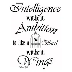 GENERICO - Decomural Intelligence Without Ambition Dali WS-44033