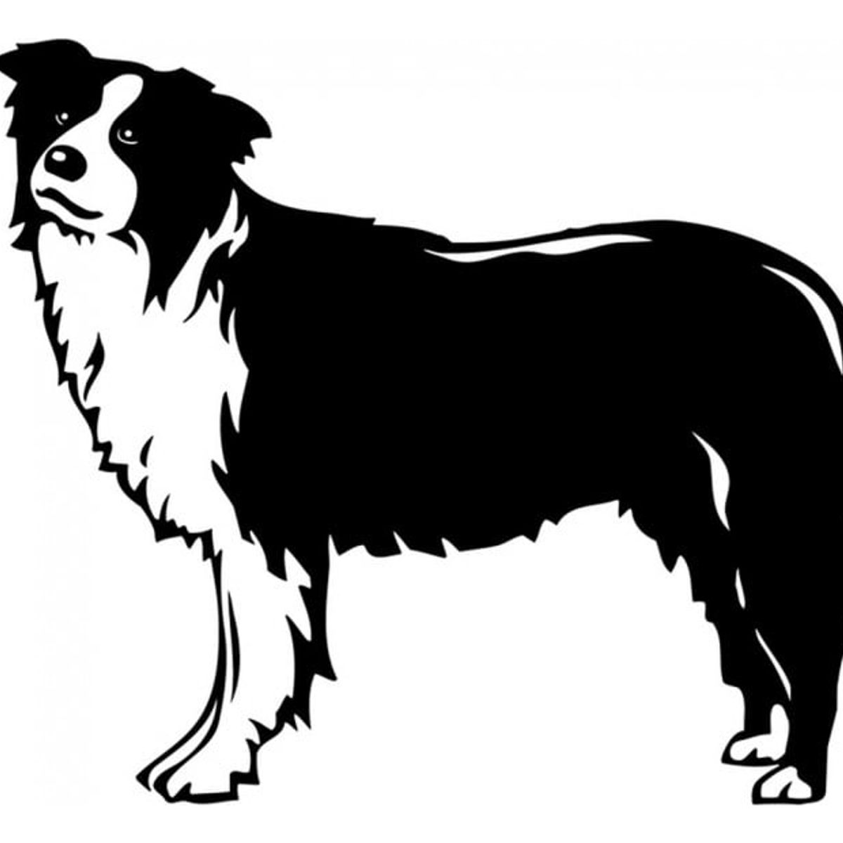 GENERICO - Decomural Border Collie Dog Pet Animals WS-18699