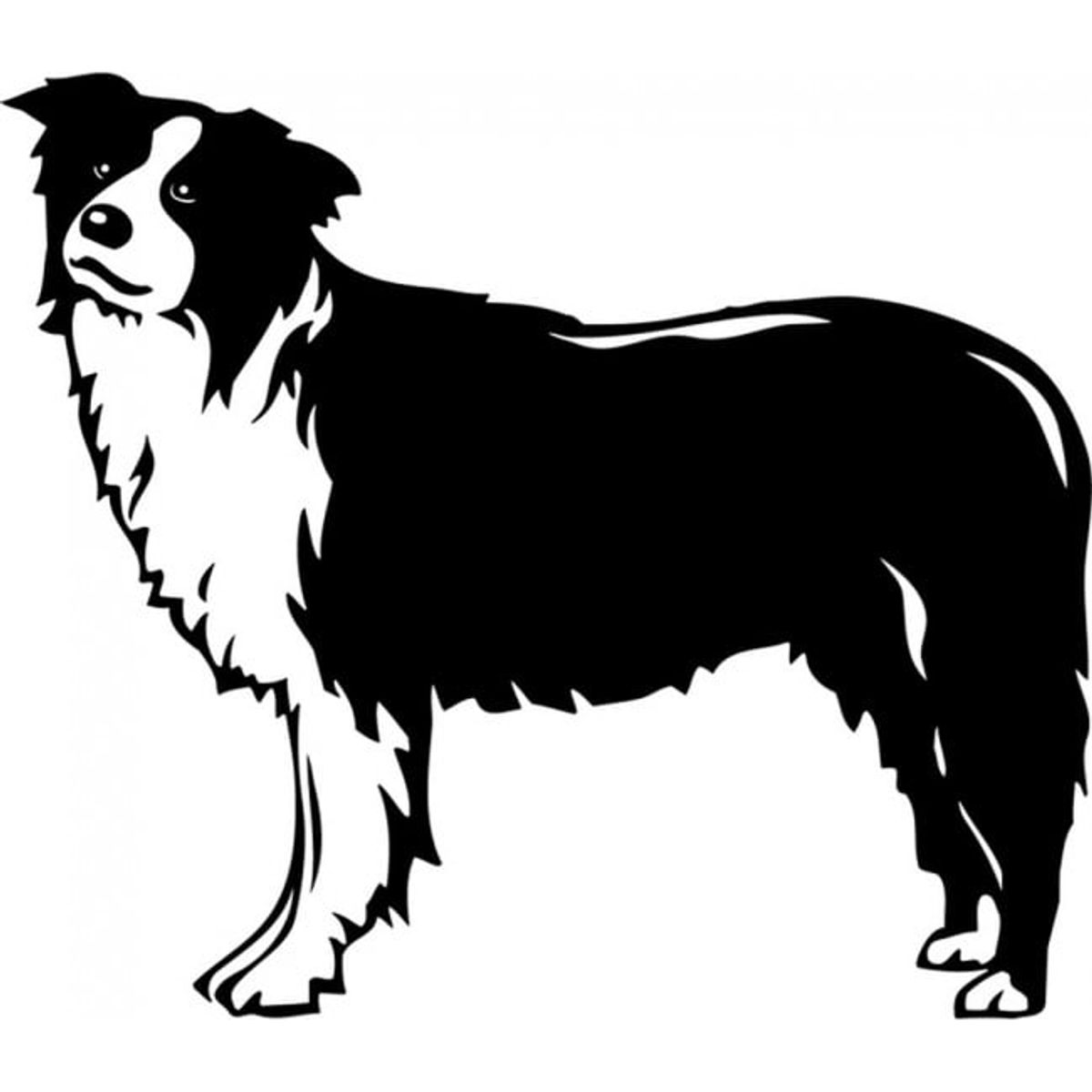 GENERICO - Decomural Border Collie Dog Pet Animals WS-18699