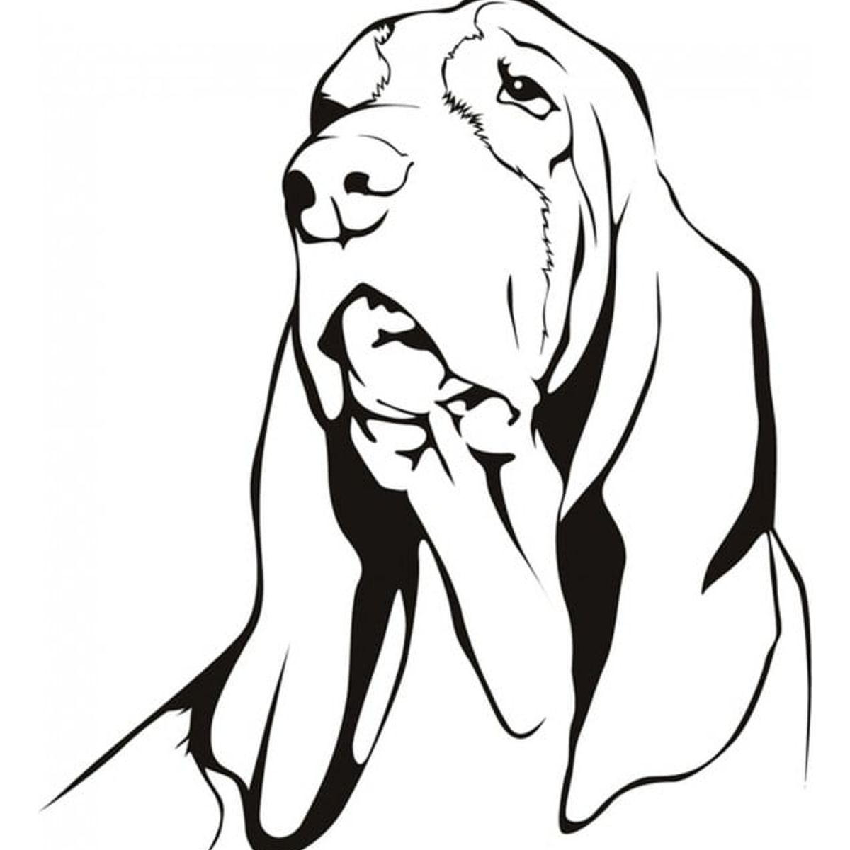 GENERICO - Decomural Basset Hound Dog WS-18704