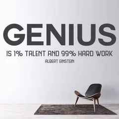 GENERICO - Decomural Genius Albert Einstein WS-44077