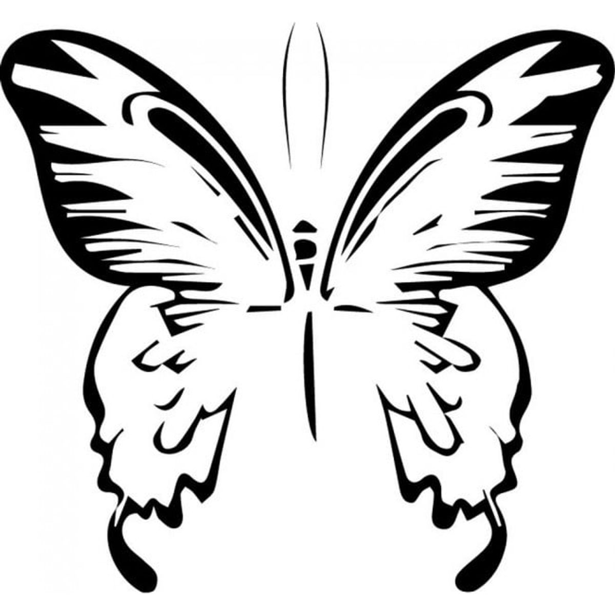 GENERICO - Decomural Sketch Butterfly Butterflies WS-32557