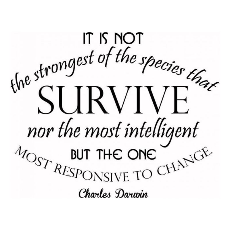 GENERICO - Decomural Survive And Change Charles Darwin WS-44082