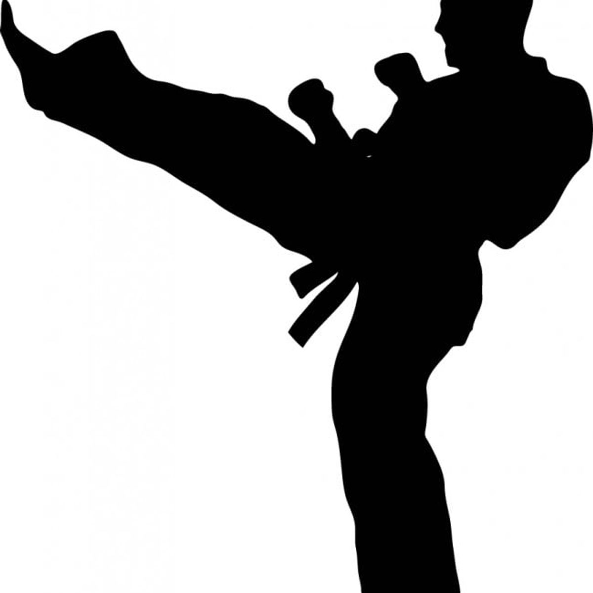 GENERICO - Decomural Martial Arts Karate Kick WS-18843