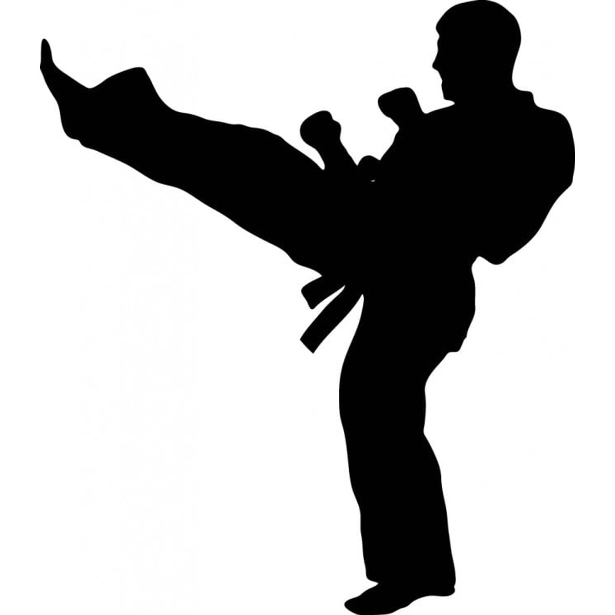 GENERICO - Decomural Martial Arts Karate Kick WS-18843