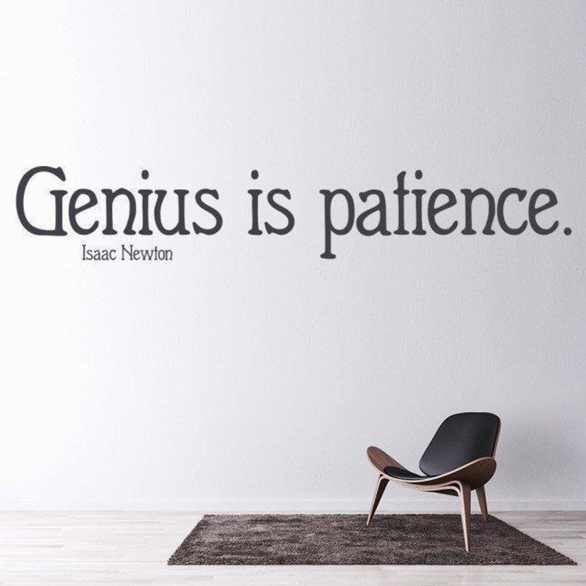 GENERICO - Decomural Genius Is Patience Isaac Newton WS-44091