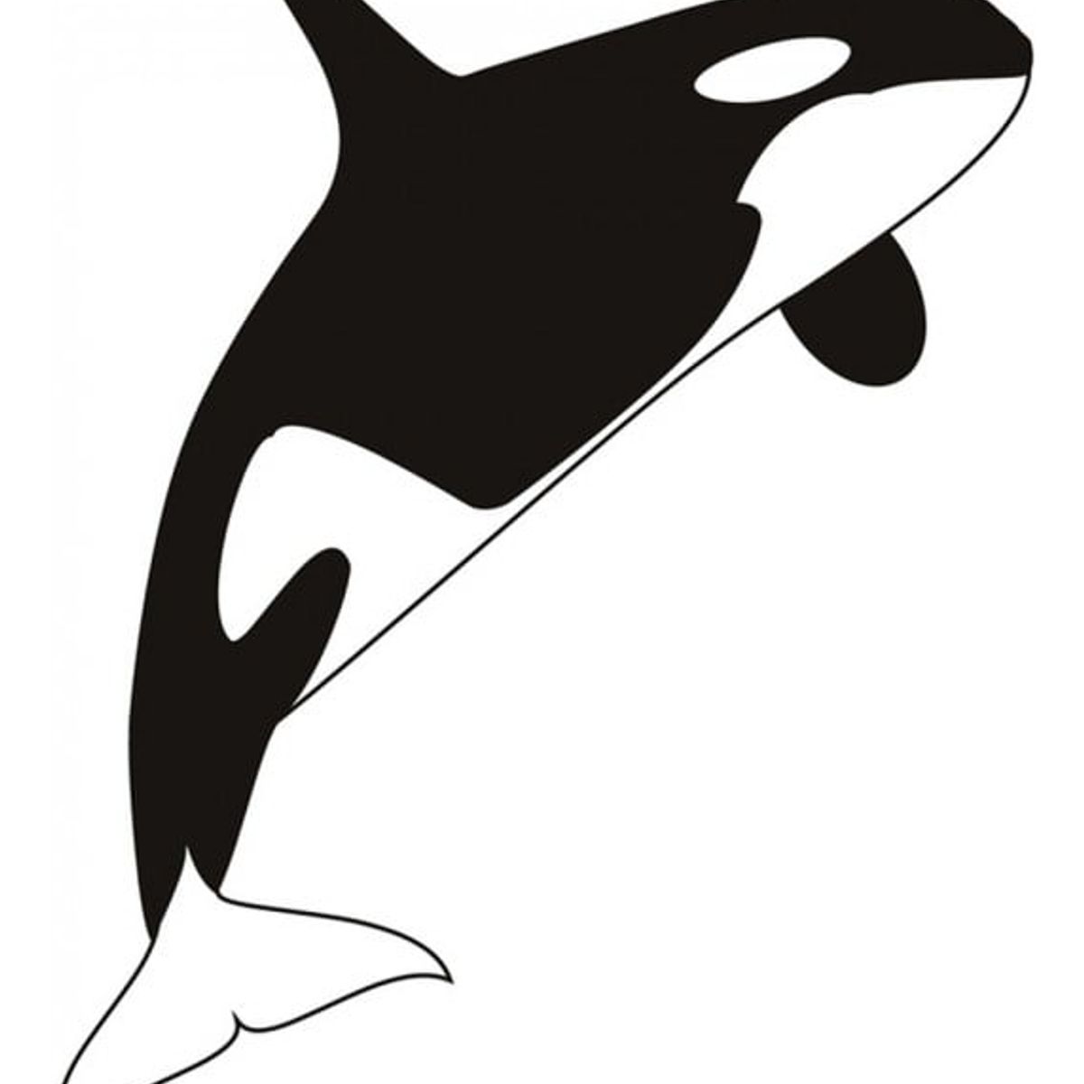 GENERICO - Decomural Killer Whale Sea Animals WS-18860