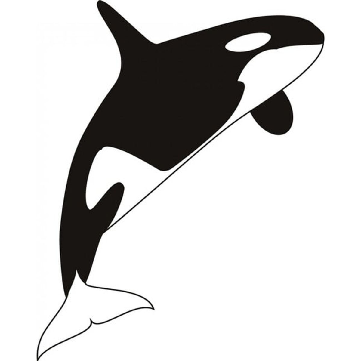 GENERICO - Decomural Killer Whale Sea Animals WS-18860