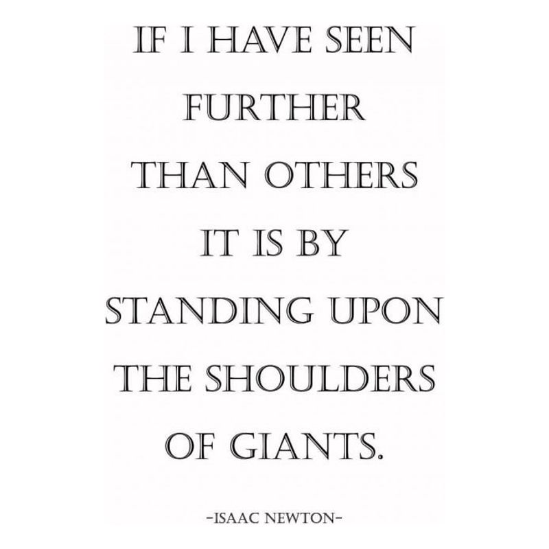 GENERICO - Decomural Shoulders Of Giants Isaac Newton WS-44092
