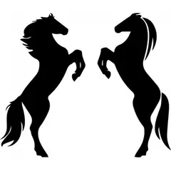 GENERICO - Decomural Two Horses Kids Bedroom WS-32599