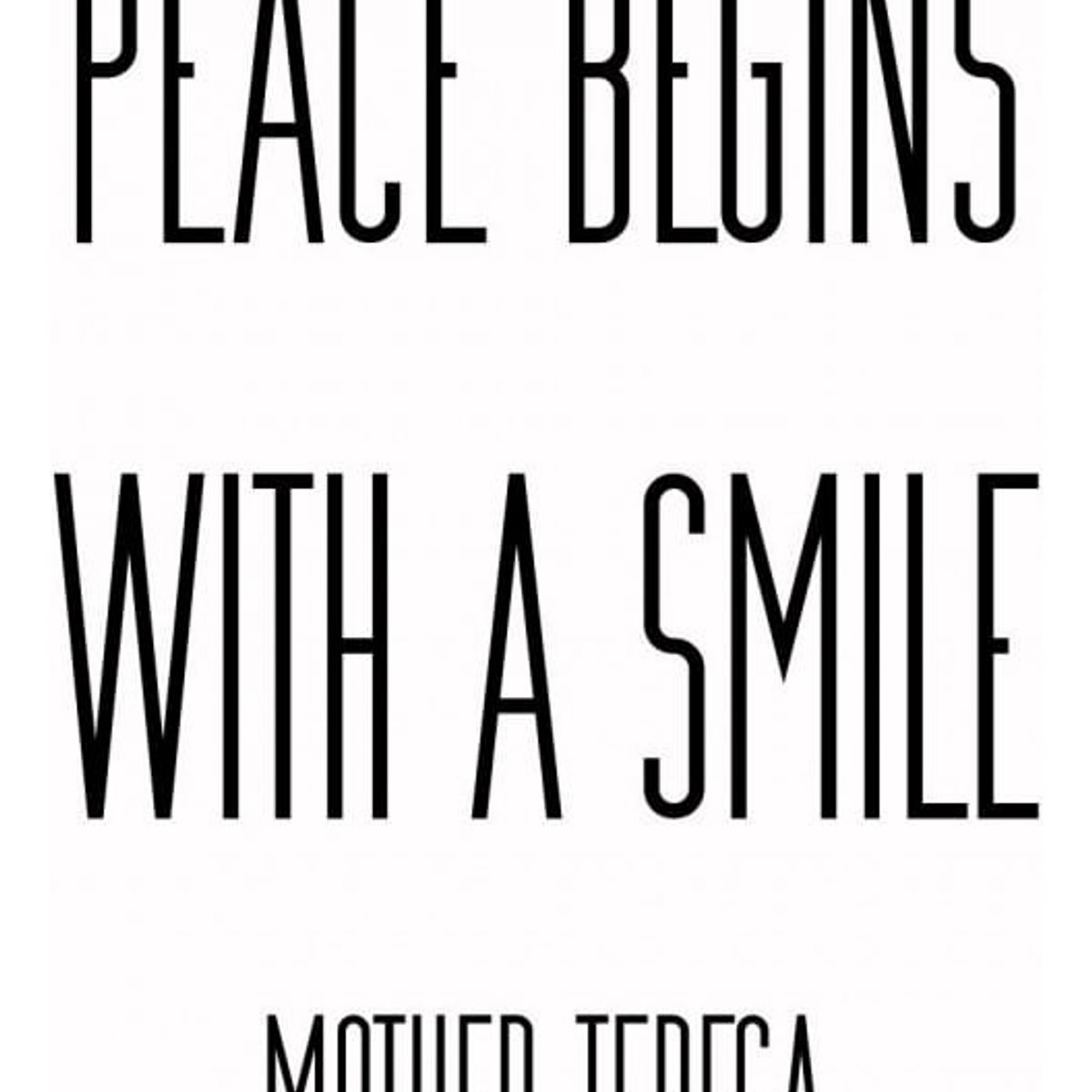 GENERICO - Decomural Peace Begins Mother Teresa WS-44103