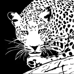 GENERICO - Decomural Leopard With Border African Animals WS-32658