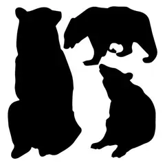 GENERICO - Decomural Bear Wild Animals Set WS-32695